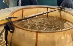 Phát triển nuôi thâm canh thủy sản và sản xuất giống | Phóng sự | 05/12/2025