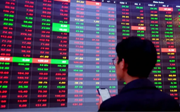 Hơn 660 mã giảm điểm, VN-Index 'bốc hơi' hơn 52 điểm