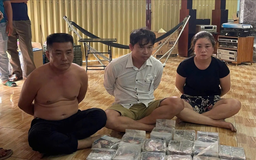 Phá đường dây tội phạm về ma túy xuyên quốc gia