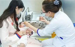 Bộ Y tế kích hoạt hệ thống phòng chống bại liệt