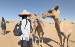 Cô gái Yemen mang dịch vụ thú y đến các làng quê