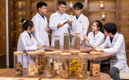 Tôn vinh di sản Ngự y, phát huy y học cổ truyền