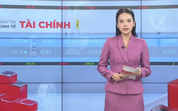 Bản tin Kinh tế Tài chính | 13/12/2025
