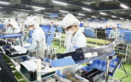 Việt Nam thu hút gần 400 triệu USD vốn đầu tư