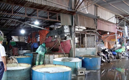 Tiểu thương lo lắng hạ tầng chợ cá Yên Sở xuống cấp | Hộp thư truyền hình | 13/12/2025