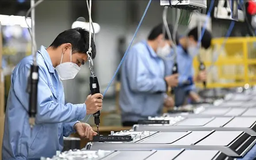 Đảm bảo tiền lương, thưởng Tết cho người lao động