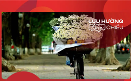 Cây bàng già và gánh cúc họa mi