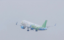 Bamboo Airways thêm máy bay, sẵn sàng cao điểm Tết