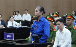 Xét xử phúc thẩm vụ Tập đoàn Phúc Sơn ngày 15/12