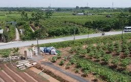 Giảm chi phí chuyển đổi mục đích sử dụng đất