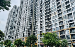 Nhà đất leo thang, người trẻ đổi chiến lược an cư