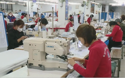 Thích ứng linh hoạt để bảo vệ thành tựu xuất khẩu