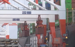 Niềm tin của doanh nghiệp Nhật Bản tăng cao