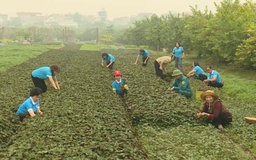 Đồng hành cùng hội viên phụ nữ phát triển kinh tế