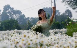 Mùa hoa bên bãi sông | Hà Nội đến để yêu | 16/12/2025