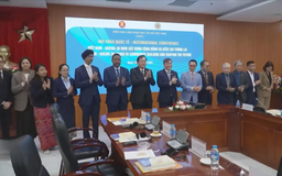 Việt Nam - ASEAN: 30 năm xây dựng và kiến tạo tương lai