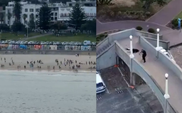Thảm kịch Bondi và vấn đề kiểm soát súng của Australia