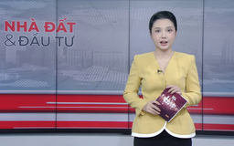 Bản tin Nhà đất và đầu tư | 16/12/2025
