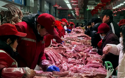 Trung Quốc hạ thuế chống bán phá giá với thịt lợn EU