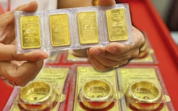 Giá vàng 16/12: Vàng miếng SJC, vàng nhẫn bất ngờ giảm mạnh