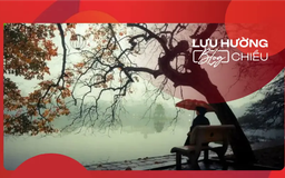 Gió lạnh đầu mùa