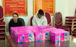 Bắt giữ 124 kg 'pháo tỏi'