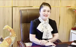Cú lừa 1.300 tỷ đồng 'trồng sâm Ngọc Linh'