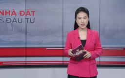 Bản tin Nhà đất và đầu tư | 17/12/2025