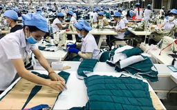 VITAS định hướng xanh, số hóa, nâng cao nội lực ngành