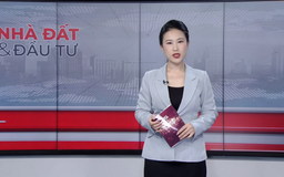 Bản tin Nhà đất và đầu tư | 19/12/2025