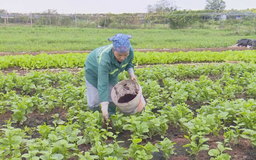 Nông nghiệp tuần hoàn - hướng đi bền vững