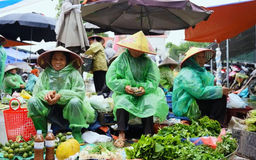 Dậy sớm đi chợ phiên Hạ Bằng