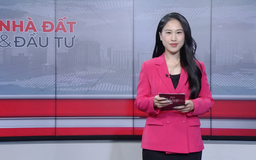 Bản tin Nhà đất và đầu tư | 02/12/2025