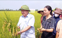 Chiến lược phát triển nông nghiệp và nông thôn bền vững | Nông nghiệp và Môi trường | 14/12/2025