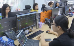 Đằng sau những thương hiệu Việt bị thâu tóm