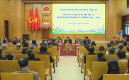 Cử tri Hà Nội kiến nghị giải quyết vấn đề môi trường