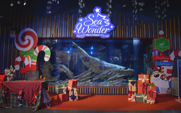 Điểm chụp ảnh Giáng sinh ấn tượng tại Thuỷ cung Lotte World