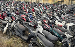 Đấu giá gần 2.000 phương tiện vi phạm hành chính