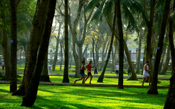 Để Hà Nội có thêm không gian xanh