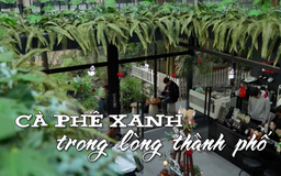 Cà phê xanh trong lòng thành phố | Nhịp sống Hà Nội | 22/12/2025
