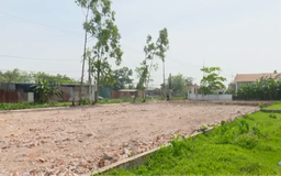 Đất vi phạm trước 1/7/2014 có thể được xem xét cấp sổ đỏ