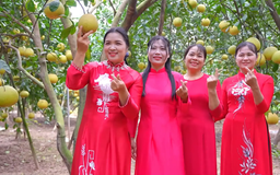 Mùa bưởi ở xã Phúc Lộc | Hà Nội đến để yêu | 22/12/2025