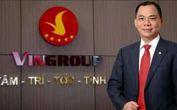 Gần 3,9 tỷ cổ phiếu Vingroup sắp về tay nhà đầu tư