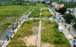 Đấu giá đất sôi động, giá cao nhất 201 triệu/m2