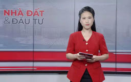 Bản tin Nhà đất và đầu tư | 24/12/2025