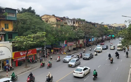Giá nhà riêng lẻ vẫn neo cao dù lượng quan tâm giảm