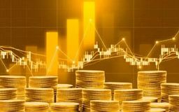 Kỳ vọng sàn giao dịch vàng quốc gia giúp bình ổn thị trường