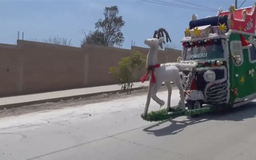 Tài xế hóa trang mang không khí Giáng sinh đến Peru