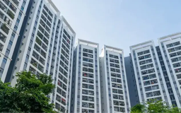 Mua bán chung cư xuất hiện giao dịch 'cắt lỗ' phần chênh