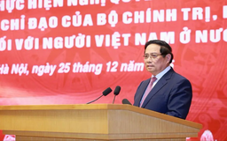 Phát huy trí tuệ, nguồn lực kiều bào phát triển đất nước